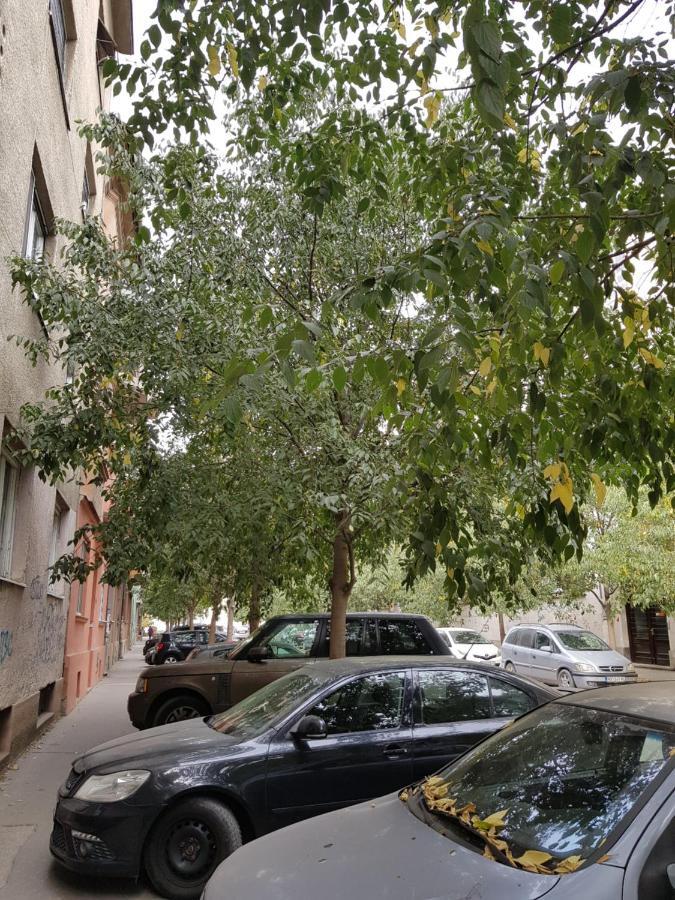 Mia Apartment Novi Sad Ngoại thất bức ảnh